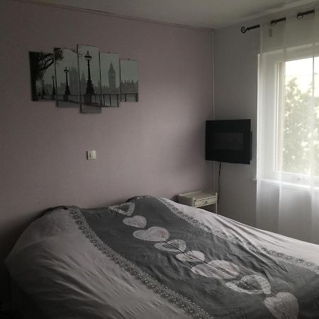 2 Pieces - Quartier Calme - Parking Gratuit Apartment Metz Bagian luar foto